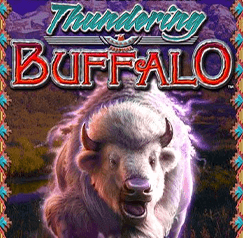 People max betting on thundering buffalo slot machine halliburton animal spirits likely ethereal