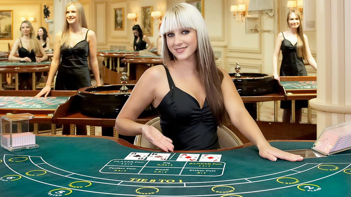 7 Things I Would Do If I'd Start Again best live casino Canada