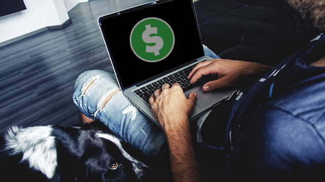 Person on Laptop Computer, Dollar Sign Green Symbol