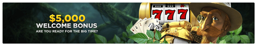 Wild Casino Bonus