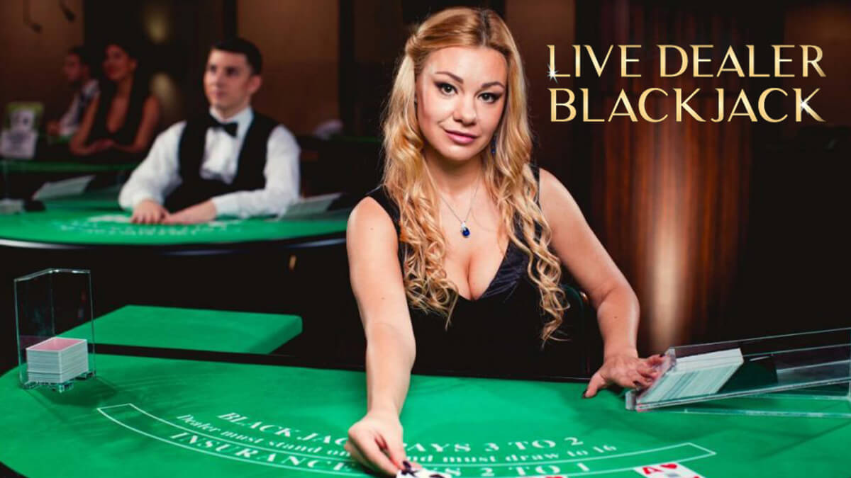 Five Rookie live online casinos in Manitoba Mistakes You Can Fix Today