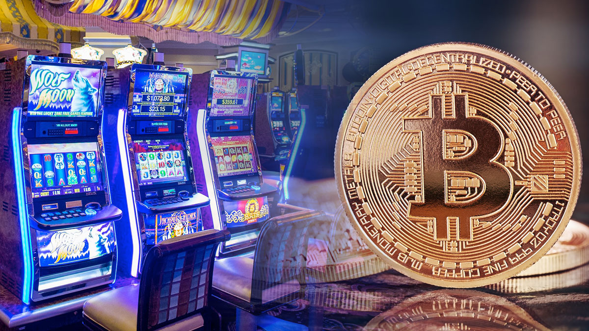 online casino bitcoin Expert Interview