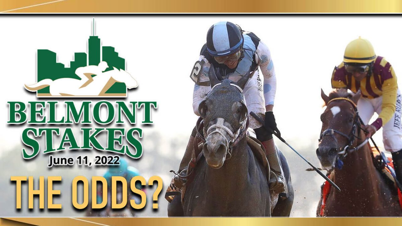 Belmont horse race betting dropping odds betting predictions