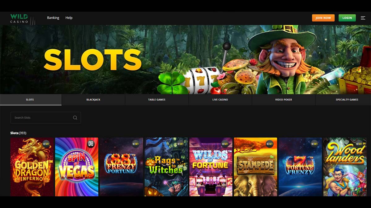 Screen shot of Wild Casino Online Slots Page
