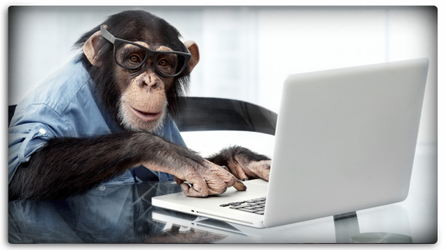 monkey betting terms su